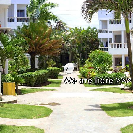 Condo Cabrinha - Direct On Kite Beach Кабарете Номер фото