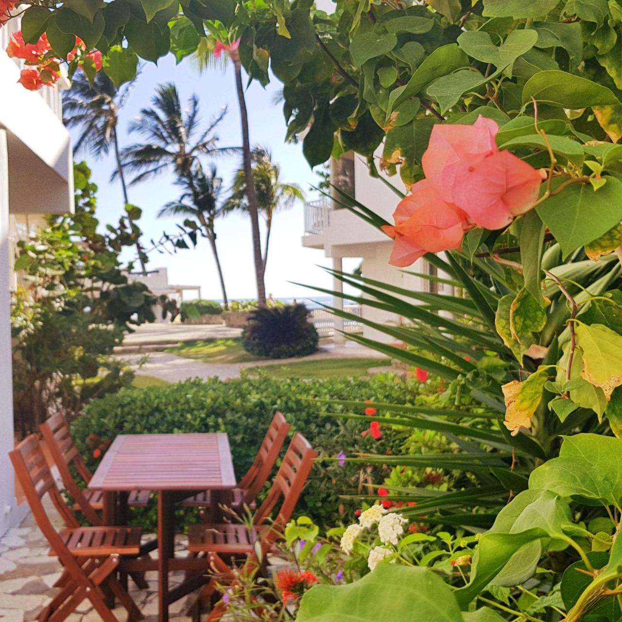 Condo Cabrinha - Direct On Kite Beach Кабарете Экстерьер фото